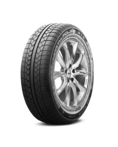 165/60R14 MOMO W-01 North Pole 75 T TL